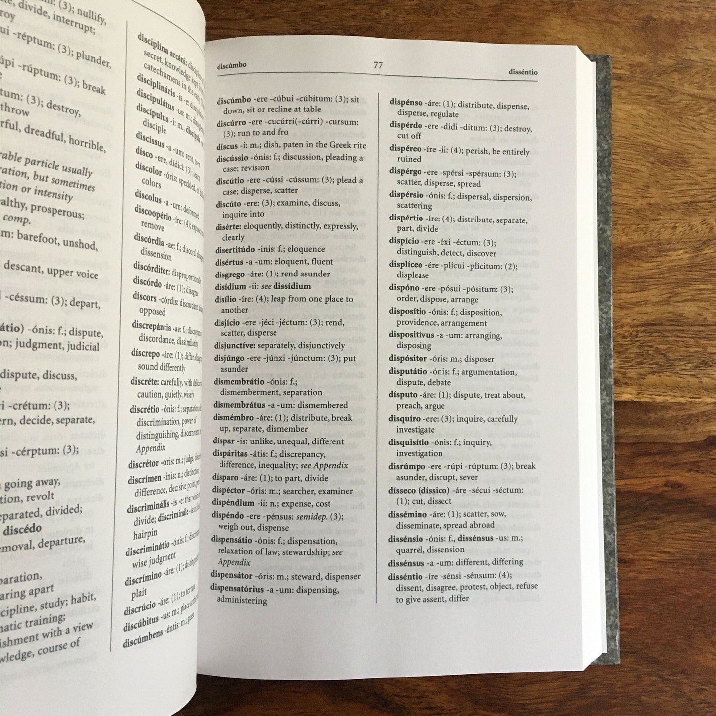 Dictionary of Ecclesiastical Latin - Leo F. Stelten