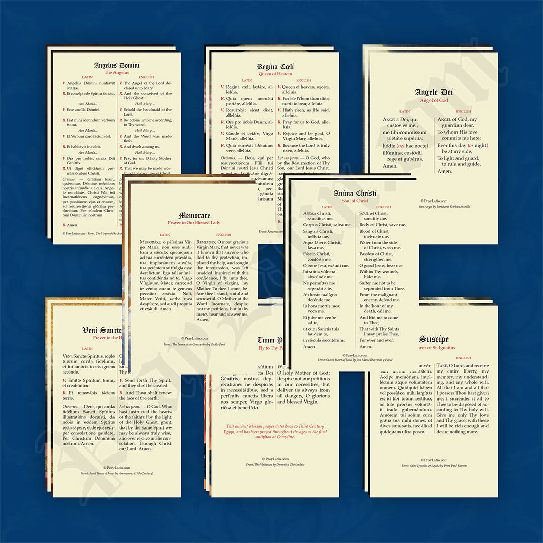 Latin-English Prayer Card Variety Pack #2