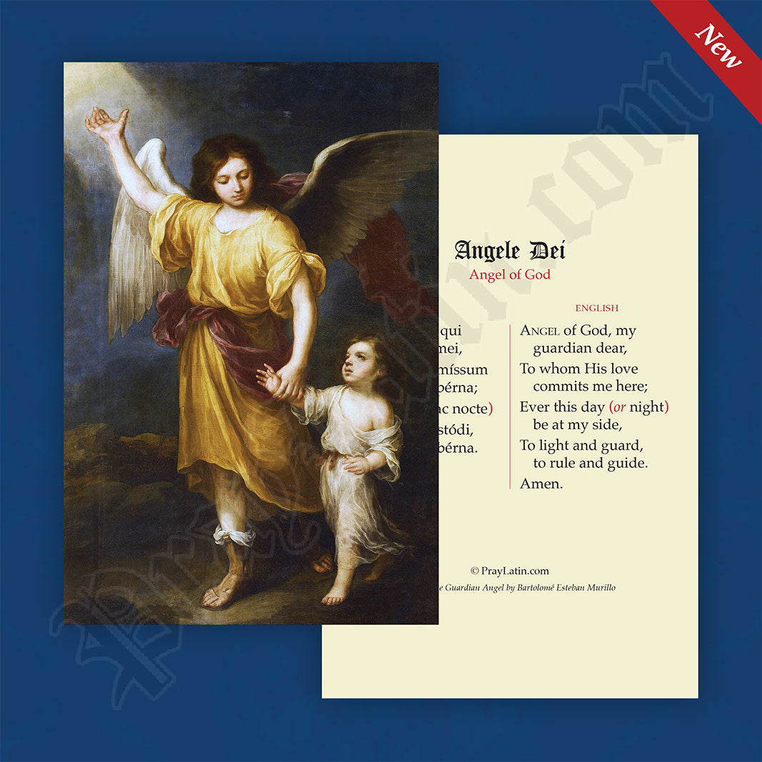 Angel of God Latin-English Prayer Card –  LLC
