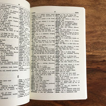 Load image into Gallery viewer, Dictionary of Liturgical Latin - Fr. Wilfrid Diamond
