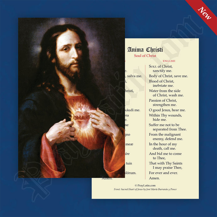 Anima Christi Latin-English Prayer Card
