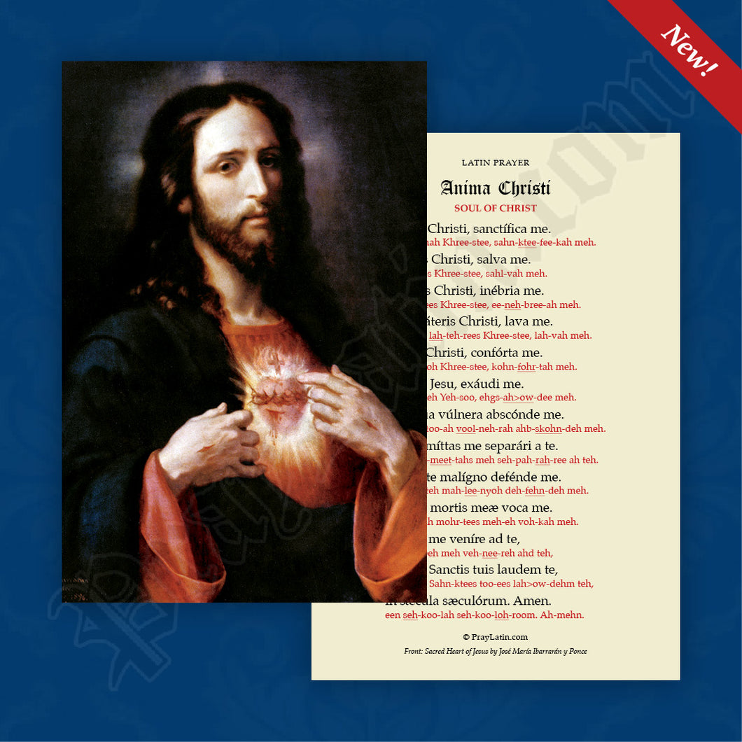 anima-christi-soul-of-christ-with-pronunciation-guides-praylatin