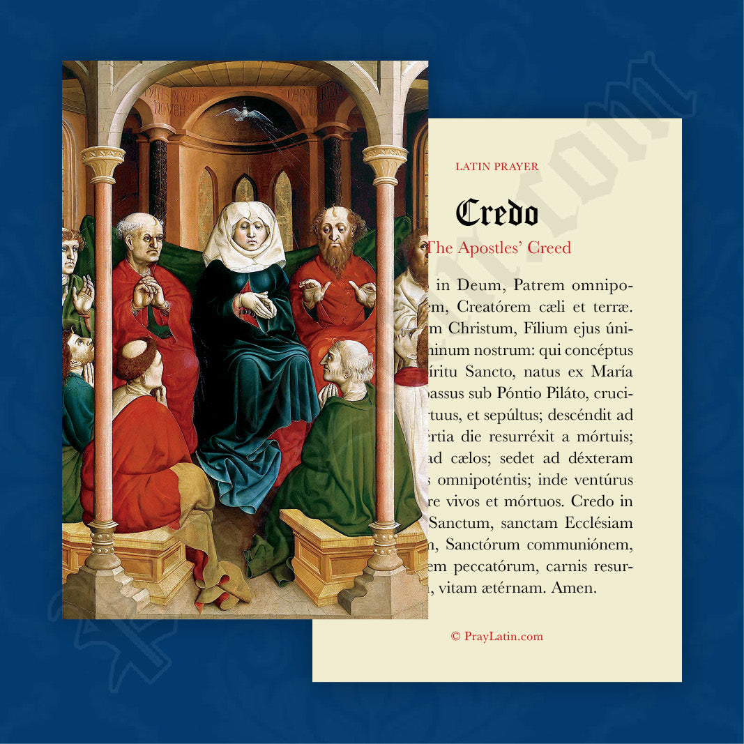 The Apostles' Creed Prayer Card in Latin