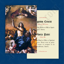 Load image into Gallery viewer, Sign of the Cross &amp; Glory Be Prayer Card in Latin
