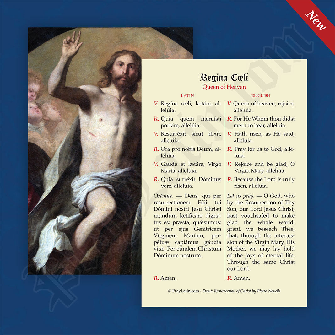 Regina C li Latin English Prayer Card PrayLatin LLC regina-c-li-latin-english-prayer-card-praylatin-llc